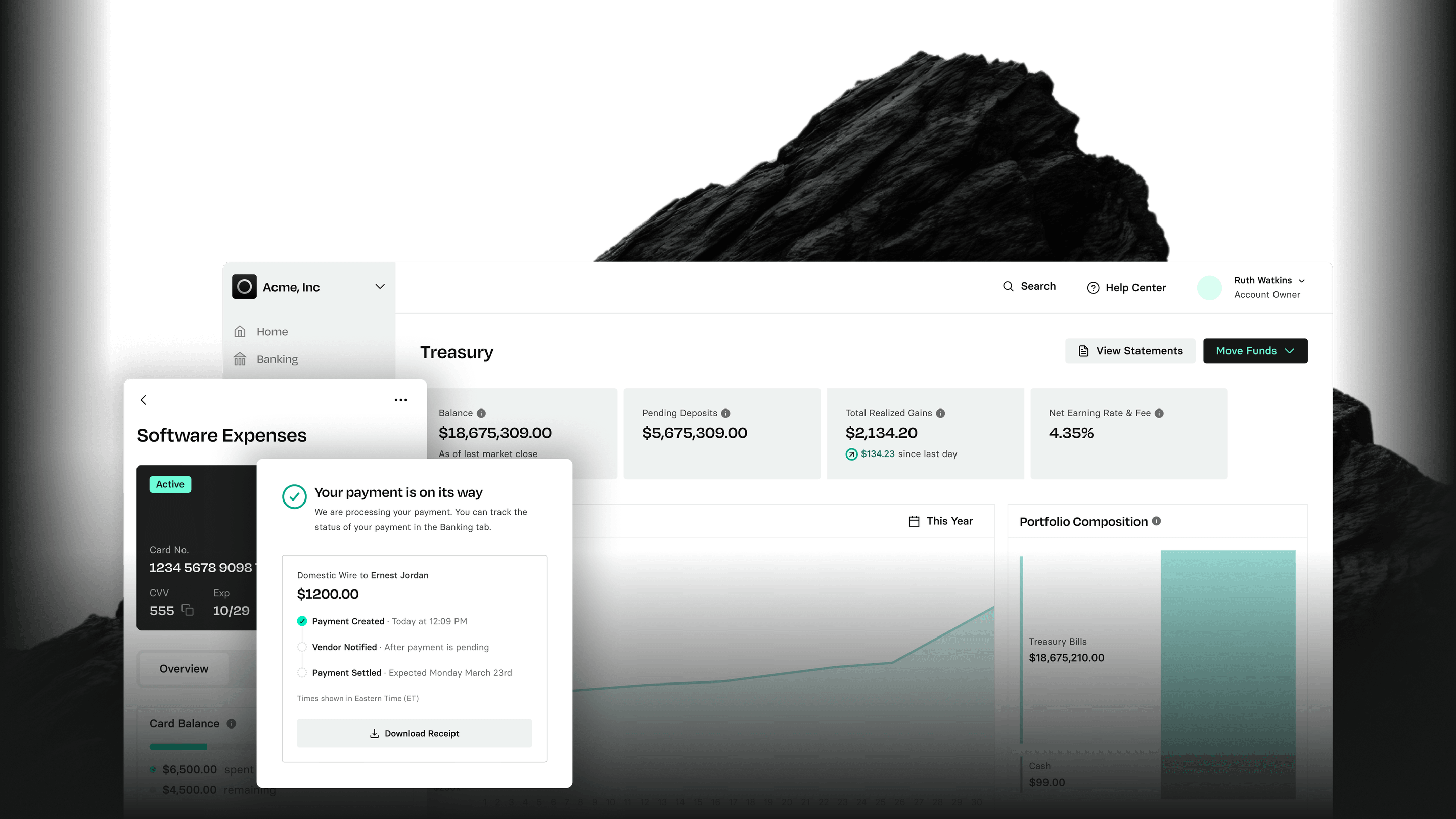 Dashboard with financial data, including software expenses, payment status, and portfolio composition. Features charts and transaction details.